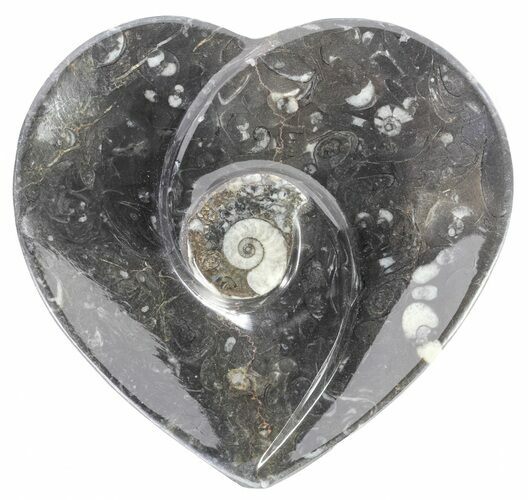 Heart Shaped Fossil Goniatite Dish #61289
